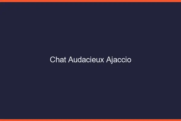 Chat Audacieux Ajaccio