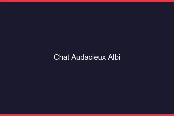 Chat Audacieux Albi