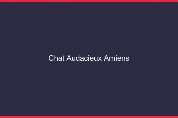 Chat Audacieux Amiens
