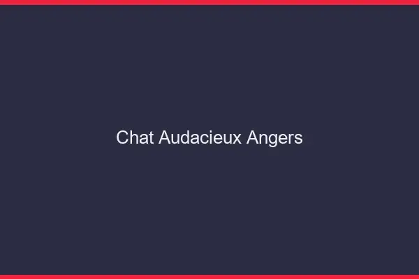 Chat Audacieux Angers