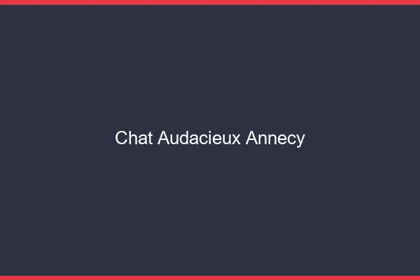Chat Audacieux Annecy