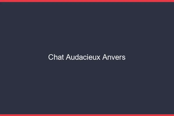 Chat Audacieux Anvers