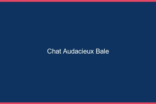 Chat Audacieux Bâle