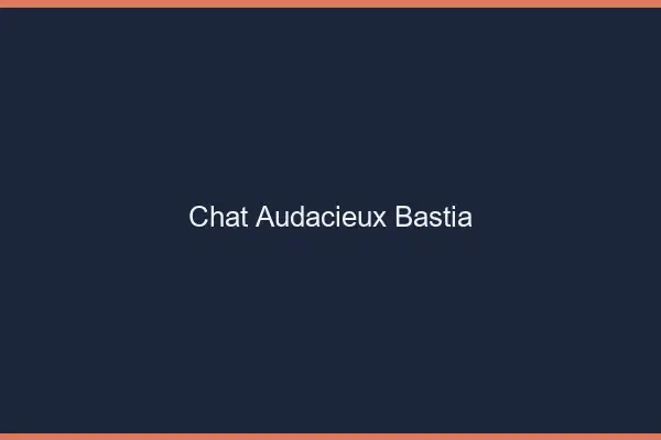 Chat Audacieux Bastia