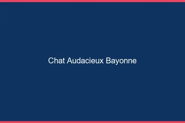 Chat Audacieux Bayonne
