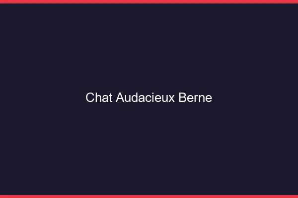 Chat Audacieux Berne
