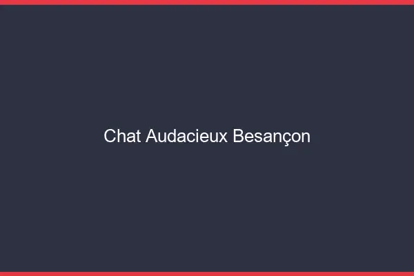 Chat Audacieux Besançon
