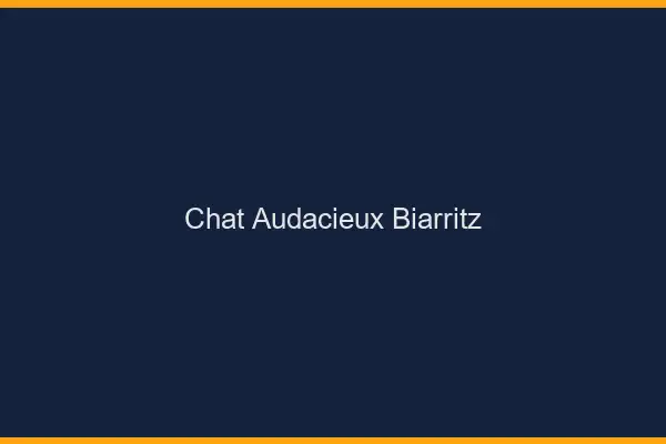 Chat Audacieux Biarritz
