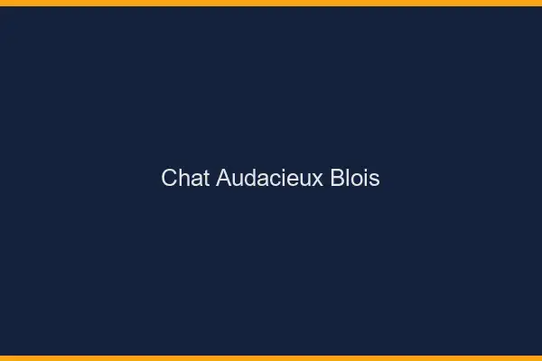 Chat Audacieux Blois