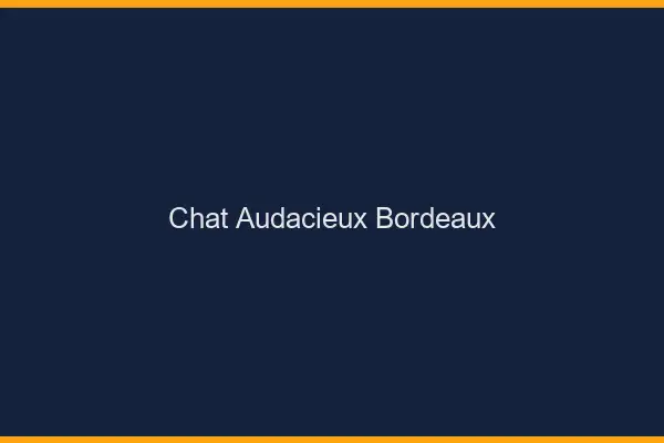 Chat Audacieux Bordeaux