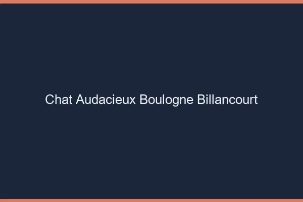 Chat Audacieux Boulogne-Billancourt