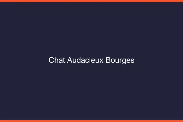 Chat Audacieux Bourges