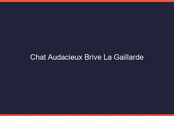 Chat Audacieux Brive-la-Gaillarde