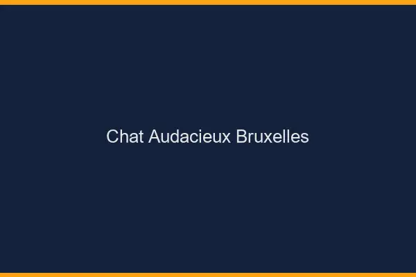 Chat Audacieux Bruxelles