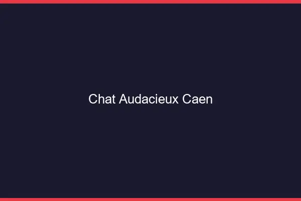 Chat Audacieux Caen