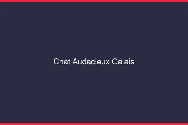 Chat Audacieux Calais