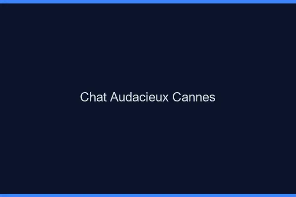 Chat Audacieux Cannes