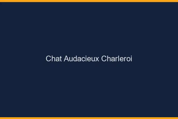 Chat Audacieux Charleroi