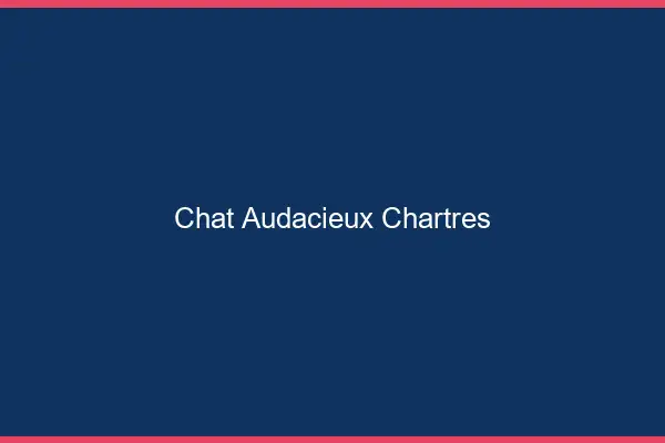 Chat Audacieux Chartres