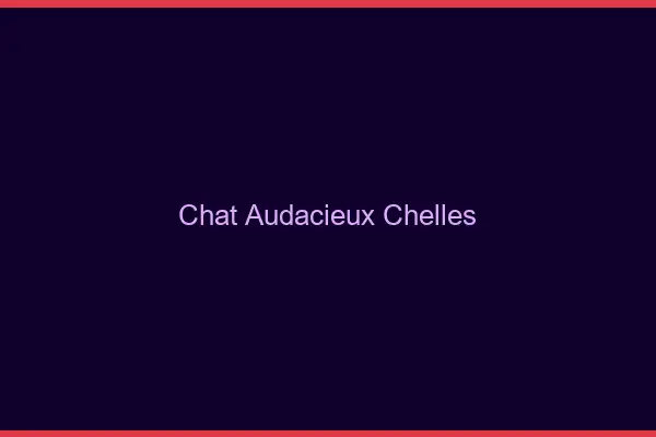 Chat Audacieux Chelles