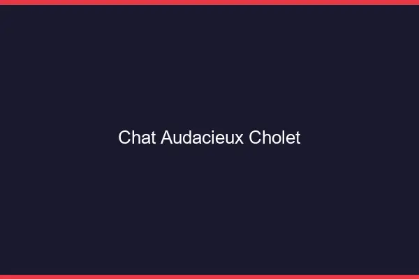 Chat Audacieux Cholet