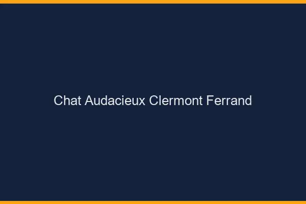 Chat Audacieux Clermont-Ferrand