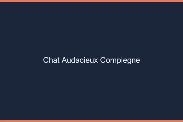Chat Audacieux Compiègne