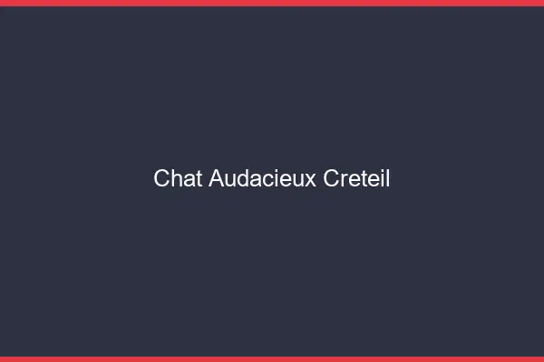 Chat Audacieux Créteil