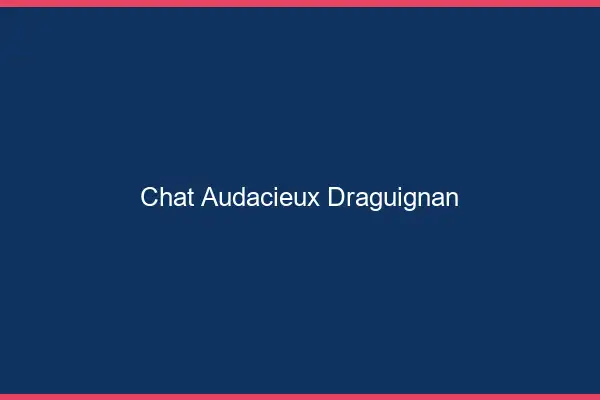 Chat Audacieux Draguignan