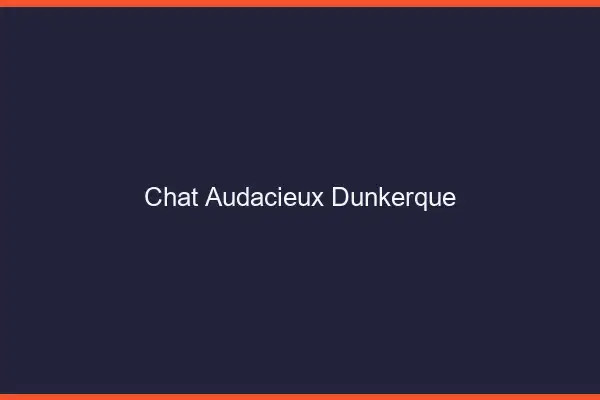 Chat Audacieux Dunkerque