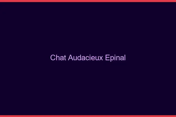 Chat Audacieux Épinal