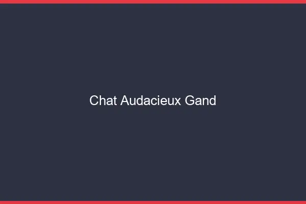 Chat Audacieux Gand