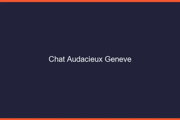 Chat Audacieux Genève