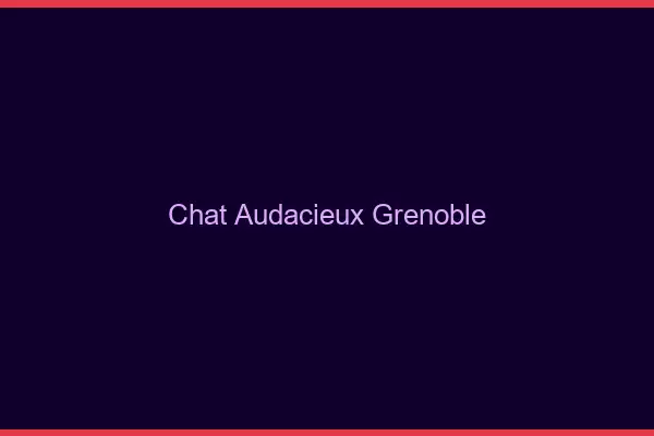 Chat Audacieux Grenoble