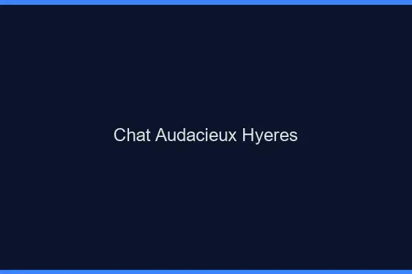 Chat Audacieux Hyères