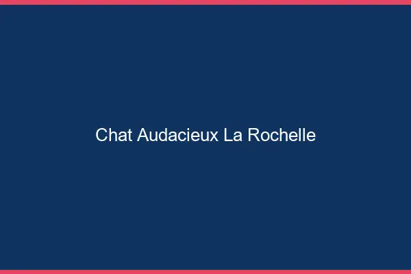 Chat Audacieux La Rochelle