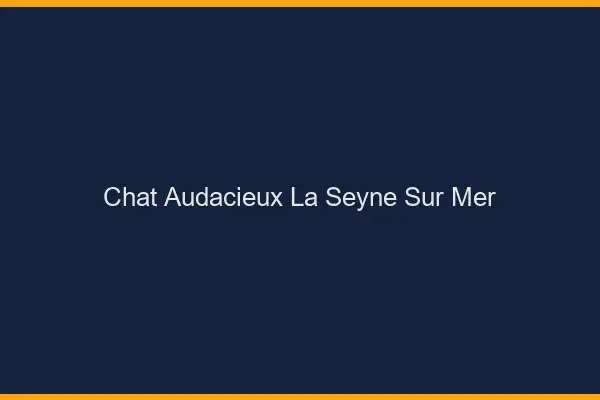 Chat Audacieux La Seyne-sur-Mer