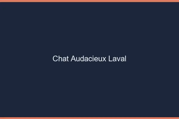 Chat Audacieux Laval