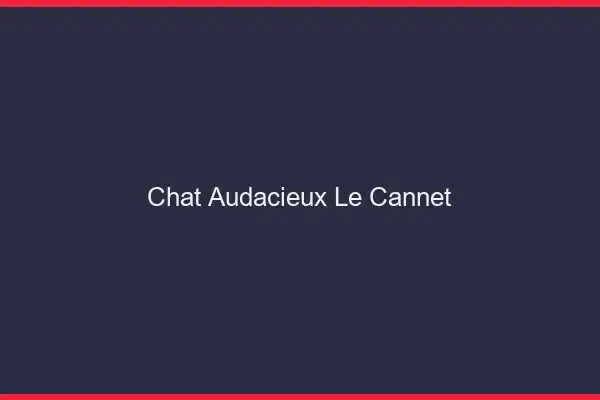 Chat Audacieux Le Cannet