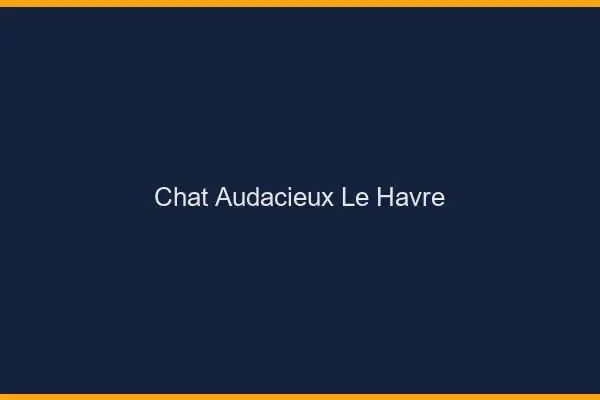 Chat Audacieux Le Havre