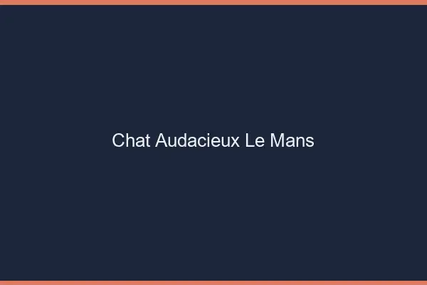 Chat Audacieux Le Mans
