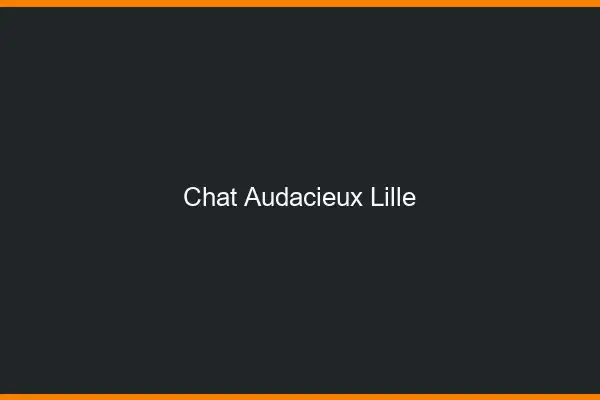 Chat Audacieux Lille