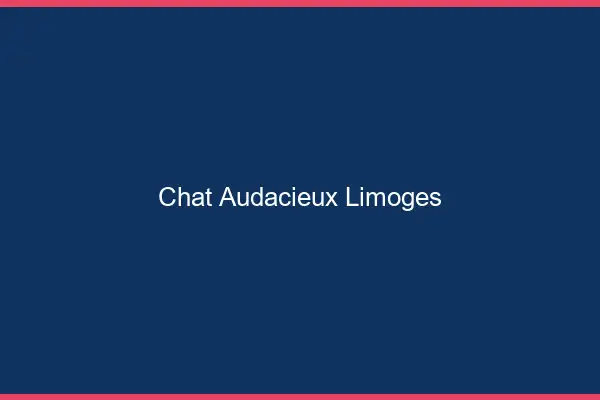Chat Audacieux Limoges