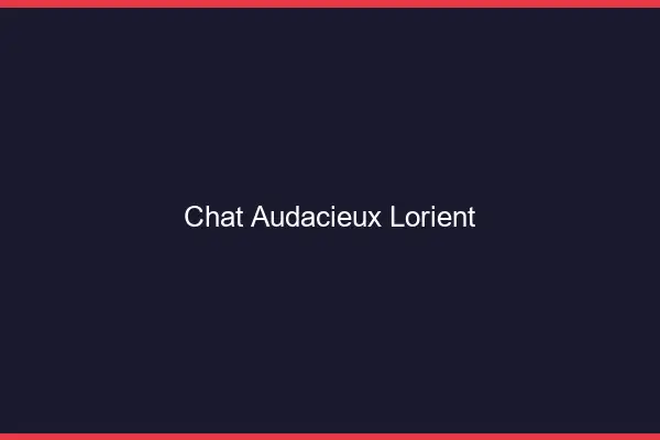 Chat Audacieux Lorient
