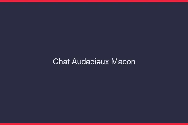 Chat Audacieux Mâcon
