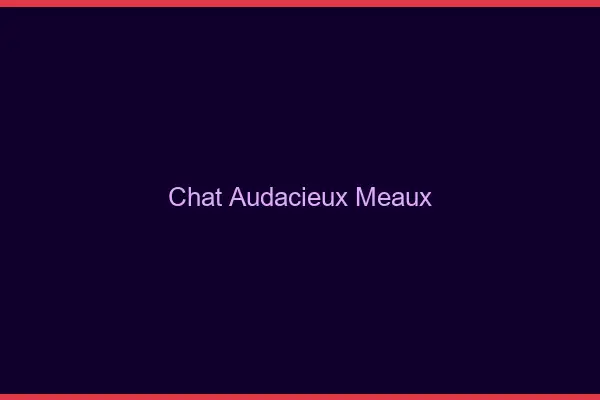 Chat Audacieux Meaux