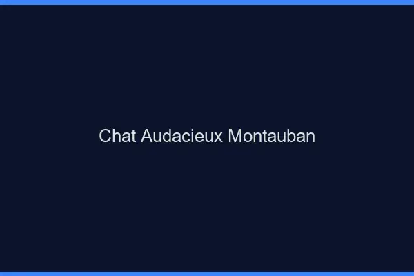 Chat Audacieux Montauban
