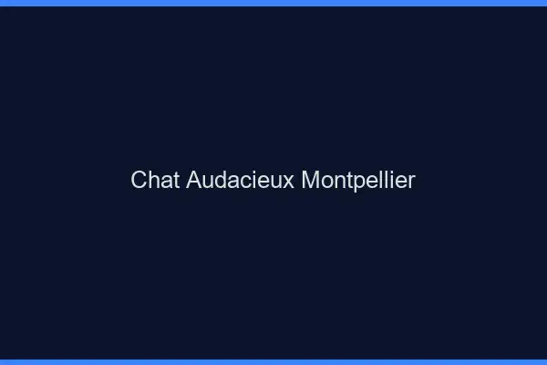 Chat Audacieux Montpellier
