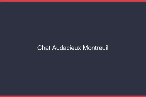 Chat Audacieux Montreuil