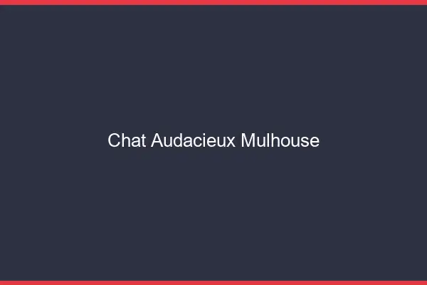 Chat Audacieux Mulhouse